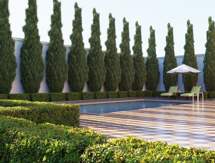 Pool framed by a row of cypresses and clipped hedges — Pool Surrounds: Non-Slip Stone, Tile and Decking